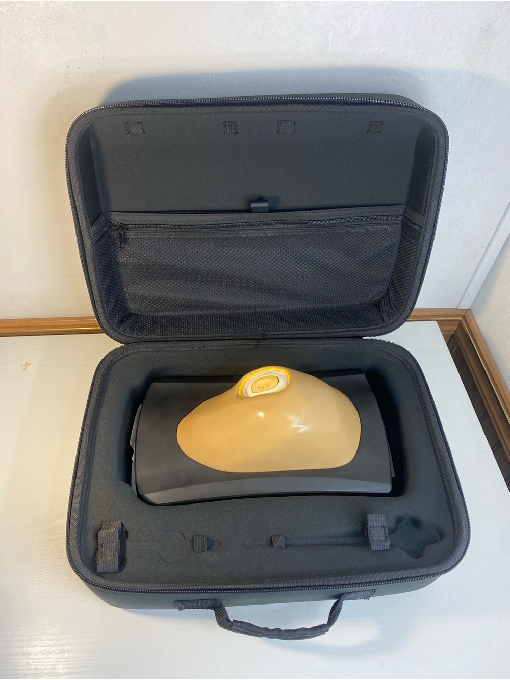 one world simulation training model